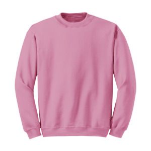 Radsow Apparel - Sweatshirt Col Rond Paris pour hommes